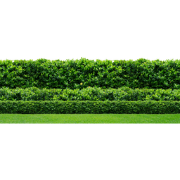 picture of Hedge management service